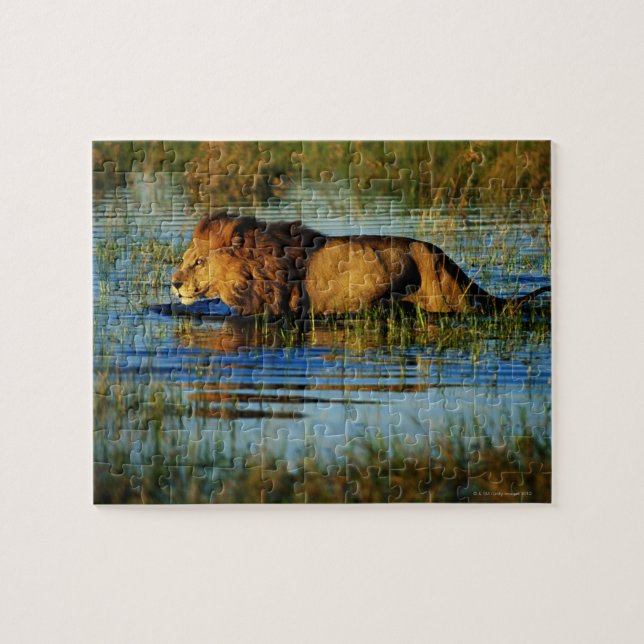 Okavango Delta, Botswana 3 Jigsaw Puzzle (Horizontal)