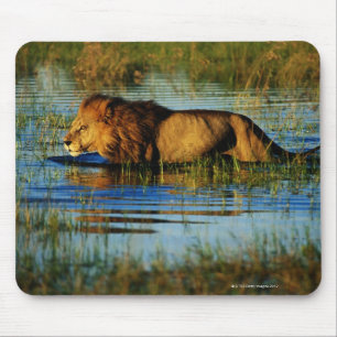 Okavango Delta, Botswana 3 Mouse Pad