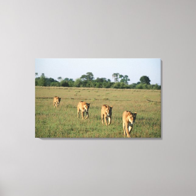 Okavango Delta, Botswana 4 Canvas Print (Front)