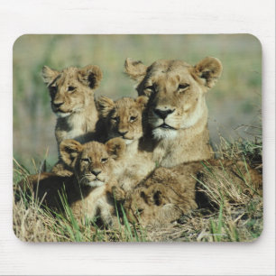 Okavango Delta, Botswana Mouse Pad
