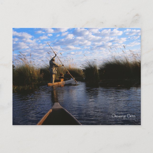 Okavango Delta Postcard (Front)