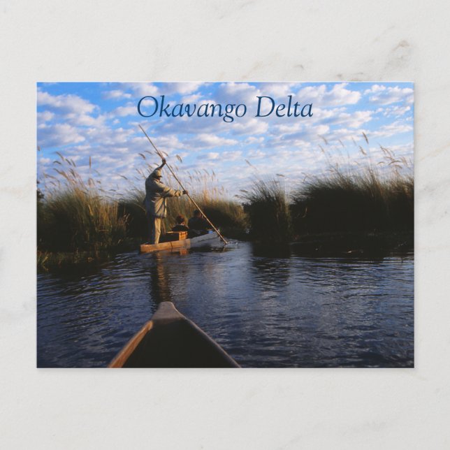Okavango Delta Travel Postcard (Front)