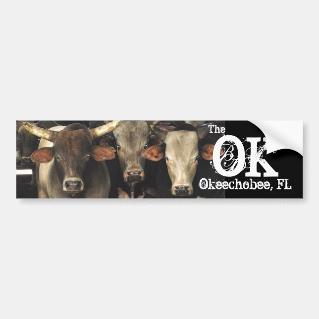 Okechobee Florida The OK Beef Cattle Cows Sticker (Front)