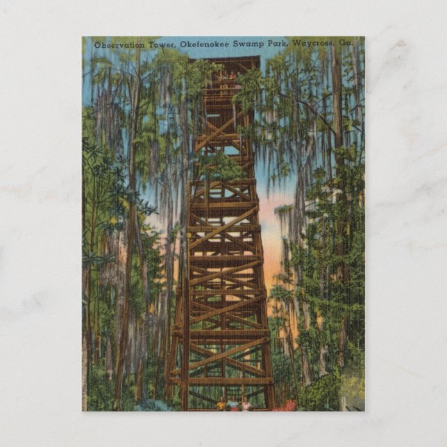 Okelenokee Swamp Park, Waycross, Georgia Postcard (Front)