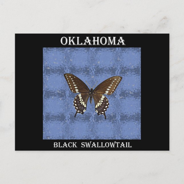 Oklahoma Black Swallowtail Butterfly Postcard (Front)