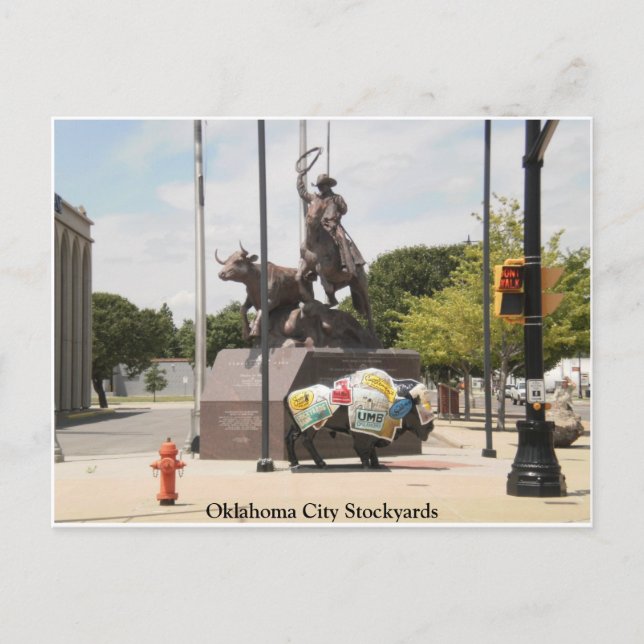Oklahoma City Stockyards buffalo and cowboy Postcard (Front)