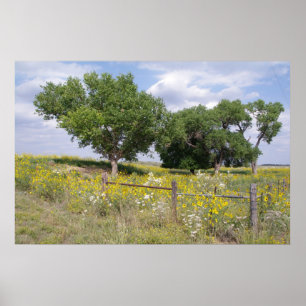 Oklahoma Country Poster