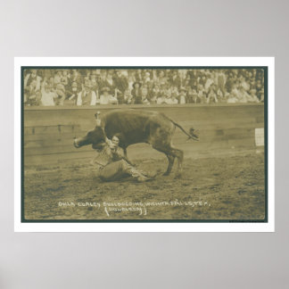 Oklahoma Culy bulldogging. Poster