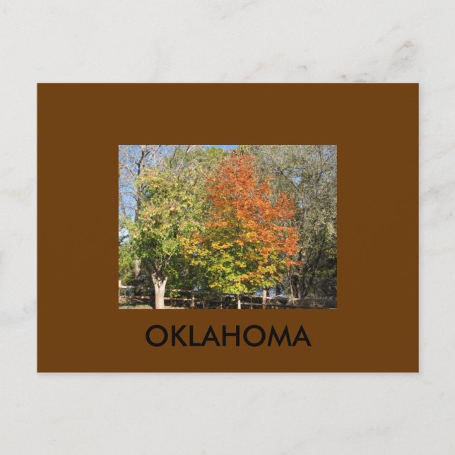 OKLAHOMA POSTCARD (Front)