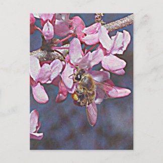 Oklahoma Redbud and Honeybee Postcard