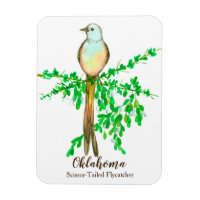 Oklahoma Scissor Tailed Fly Catcher Bird