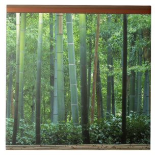 Okochi Sanso, Arashiyama, Kyoto, Japan 3 Tile