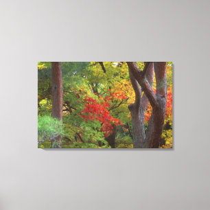 Okochi Sanso, Arashiyama, Kyoto, Japan 5 Canvas Print