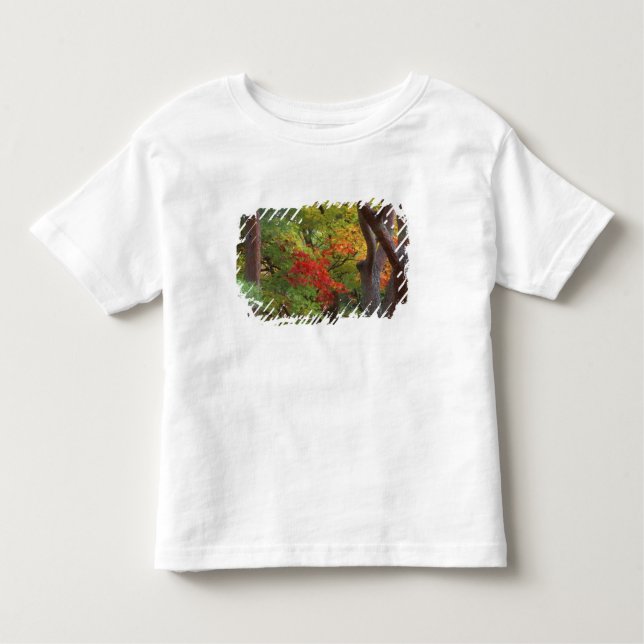 Okochi Sanso, Arashiyama, Kyoto, Japan 5 Toddler T-Shirt (Front)