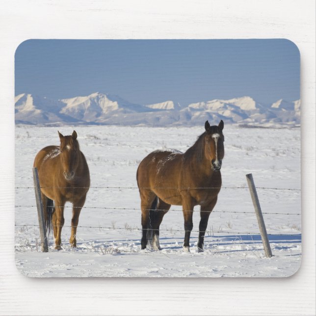 okotoks, alberta, canada mouse pad (Front)