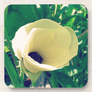 Okra Flower Coaster