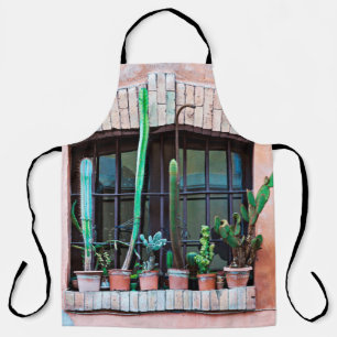 Old abandoned window with group of cactus flower p apron