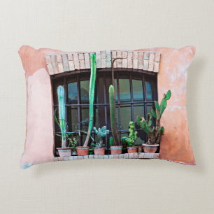 Old abandoned window with group of cactus flower p decorative cushion