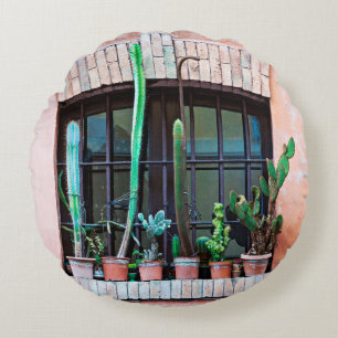 Old abandoned window with group of cactus flower p round cushion