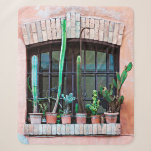 Old abandoned window with group of cactus flower p sherpa blanket