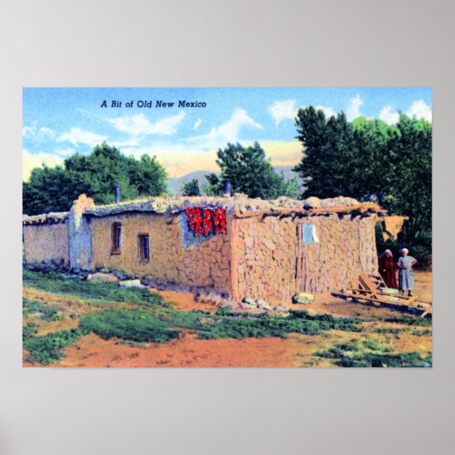 Old Adobe House New Mexico Poster (Front)