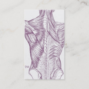 Old anatomy art muscles of the back purple (1890) business card