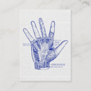 Old Anatomy Drawing Palm of the Hand Business Card