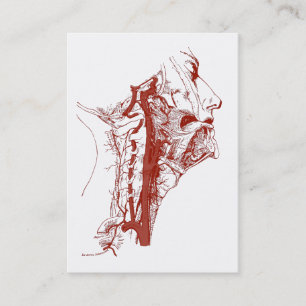 Old Anatomy Illustration Human vertebral arteries Business Card