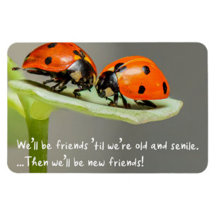 Old and Senile Ladybug New Friends Funny Bestie Magnet