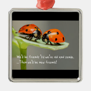 Old and Senile Ladybug New Friends Funny Bestie Metal Tree Decoration