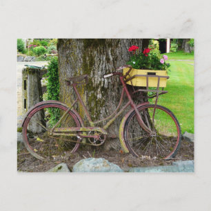 Old Antique Bicycle with Flower Basket Postcard