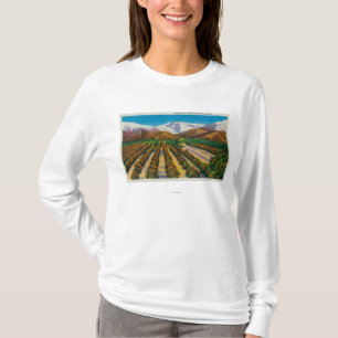 Old Baldy Mountain from the Orange Groves T-Shirt