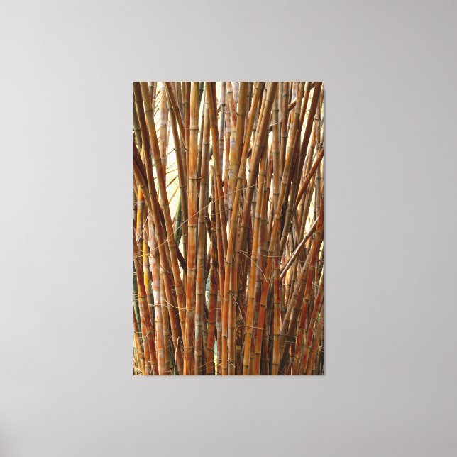 Old Bamboo Canvas Print (Front)