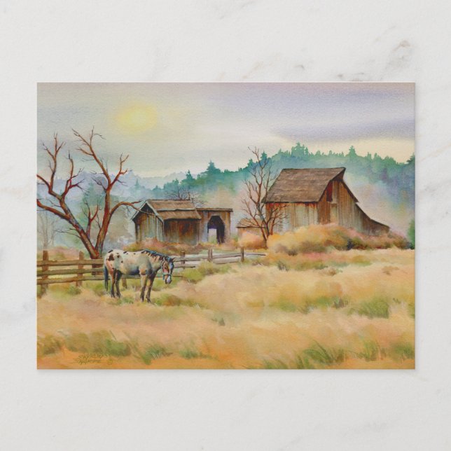 OLD BARN & APPALOOSA by SHARON SHARPE Postcard (Front)