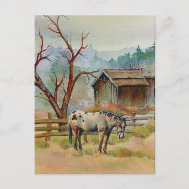 OLD BARN & APPALOOSA by SHARON SHARPE Postcard (Front)