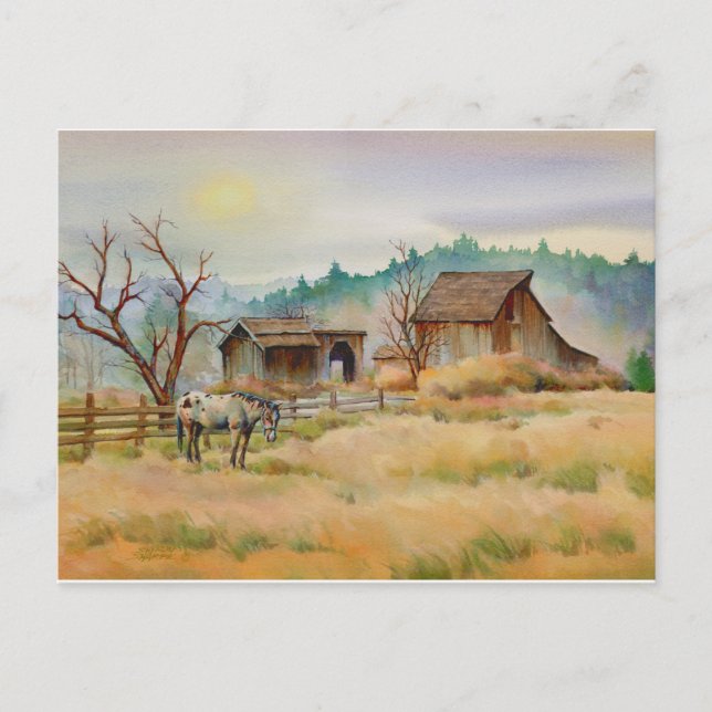 OLD BARN & APPY by SHARON SHARPE Postcard (Front)