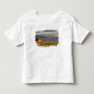 Old barn framed by hay bales and dramatic toddler T-Shirt
