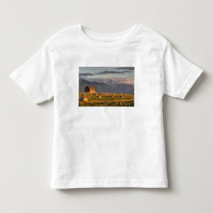 Old barn framed by hay bales and dramatic toddler T-Shirt