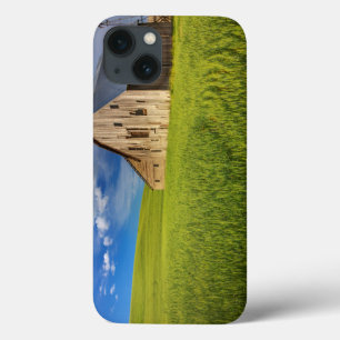 Old Barn in Field of Spring Wheat iPhone 13 Case