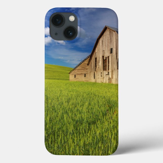 Old Barn in Field of Spring Wheat Case-Mate iPhone Case (Back)