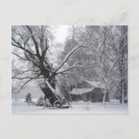 Old Barn & Oak Tree in Rural Winter Snow Photo