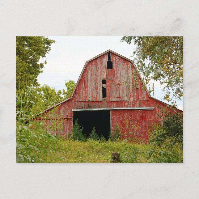 Old Barn Postcard (Front)