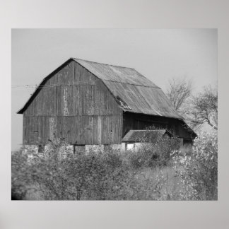 Old barn poster