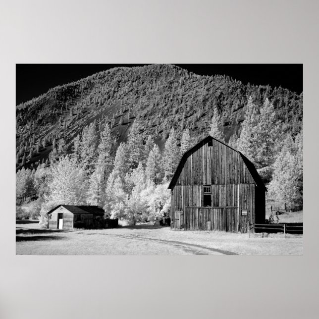 Old Barn Poster (Front)