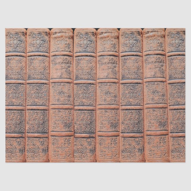 Old Beige Book Library Decoupage  Tissue Paper (Front)