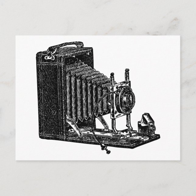 Old Bellows Camera - Vintage Illustration Postcard (Front)
