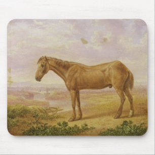 Old Billy, a Draught Horse, Aged 62 (oil on panel) Mouse Pad
