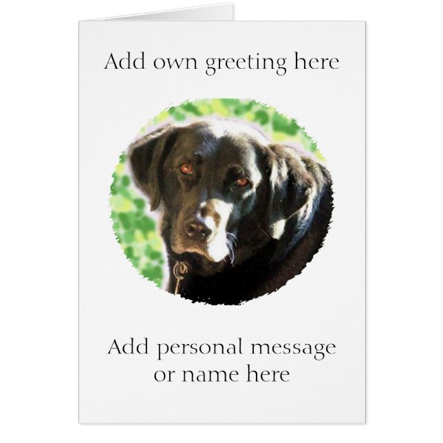 Old black Labrador photo card- add name message (Front)