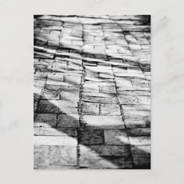 Old brick pathway postcard (Front)