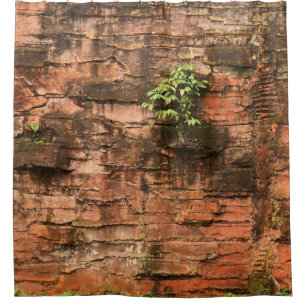 Old broken brick wall shower curtain